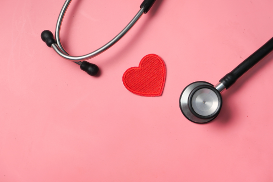 Read more about the article Cardiovascular Health: The Engine That Keeps You Moving